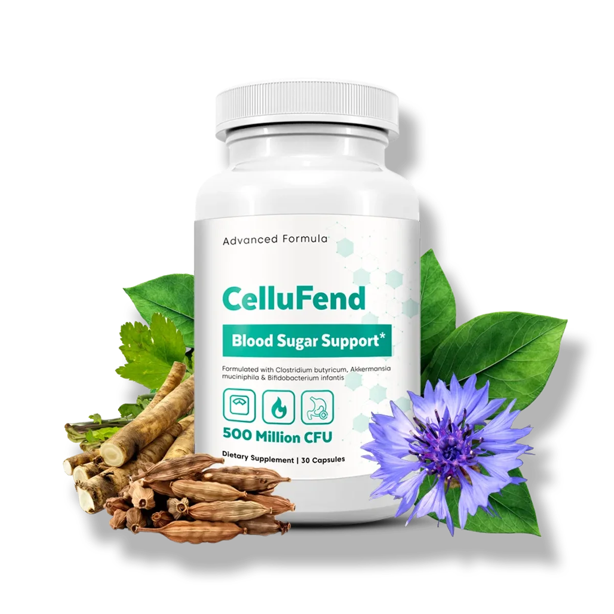 CelluFend bottle